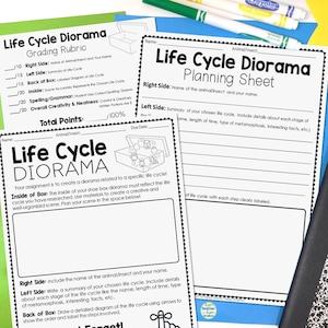 Life Cycle Project, Life Cycle Diorama, Use with ANY Animal Insect Life Cycle, Life Cycle Activity, Life Cycle Worksheet, Study Life Cycle