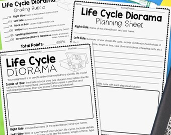 Life Cycle Diorama Project: Use with ANY Animal Life Cycle or Insect Life Cycle (Digital Download)