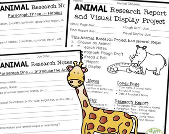 Animal Research Report & Display Project (Digital Download)