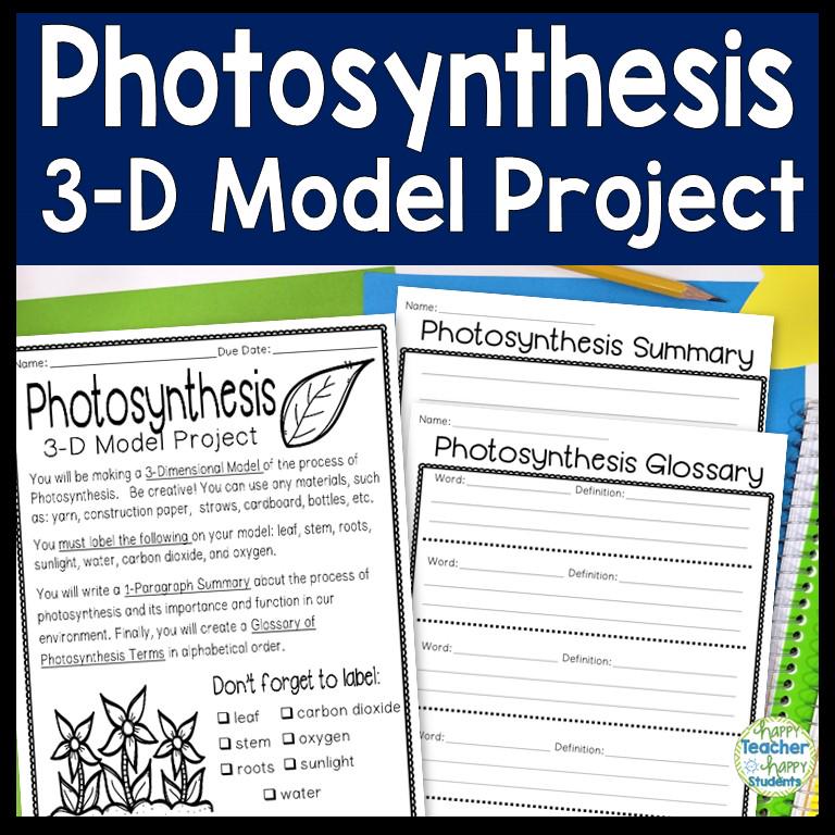 Photosynthesis 3D Model Project | 3-D Model of Photosynthesis With ...