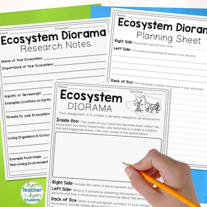 Ecosystem Project, Make a Shoebox Diorama, Use with ANY Ecosystem, Digital Download, Ecosytem Activity, Homeschool Science, Ecosystems Unit