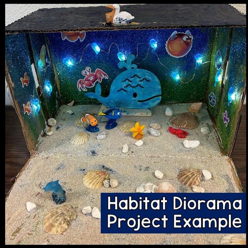Habitats Project Decorate a Shoebox Habitat Diorama Project Habitat