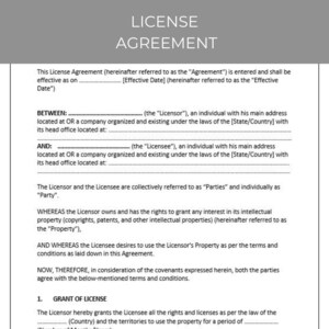 License Agreement