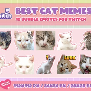 10 Cute Cat Memes Emote Pack 13, Lurk Emotes, Cat Emotes, Emote Commission, Twitch Emotes, Streamer Emotes, Funny Emotes,  Chibi Emotes