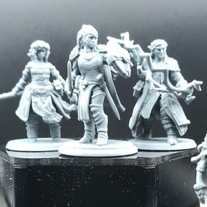 May include: Five gray painted miniature figurines of fantasy characters. The figures are standing on black and gray bases. The figures are a female elf with a sword, a male elf with a bow and arrow, a female human with a staff, a female human with a dagger, and a male dwarf with an axe.