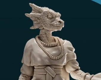 Hechicero Dragonborn / Miniatura de D&D Ttrpg / Dnd es una mujer / Sin peana / Impresión 3D