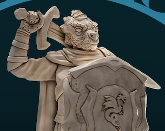 Paladín Dragonborn / Miniatura de D&D Ttrpg / Dnd es una mujer / Sin peana / Impresión 3D