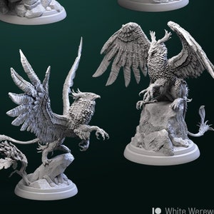 Griffons Griffins | Tabletop Scale | D&D Ttrpg Miniature | White Werewolf Tavern