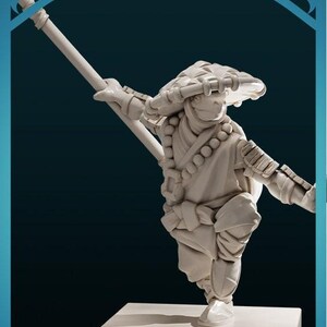 Tortle Monk | D&D Ttrpg Miniature | Dnd Is A Woman | No Base | 3D Print