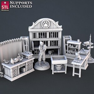 Veterinarian Npc Set | Tabletop Scale | D&D Ttrpg Miniature | Stl Miniatures