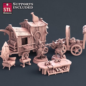 Potion Vendor Seller Npc Set | Tabletop Scale | D&D Ttrpg Miniature | Stl Miniatures