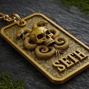 May include: Gold-colored keychain with a detailed skull and snake design. The name "SETH" is engraved on the tag.