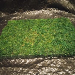 Puede incluir: Una pieza rectangular de césped verde artificial con una mancha ligeramente más oscura en el centro.