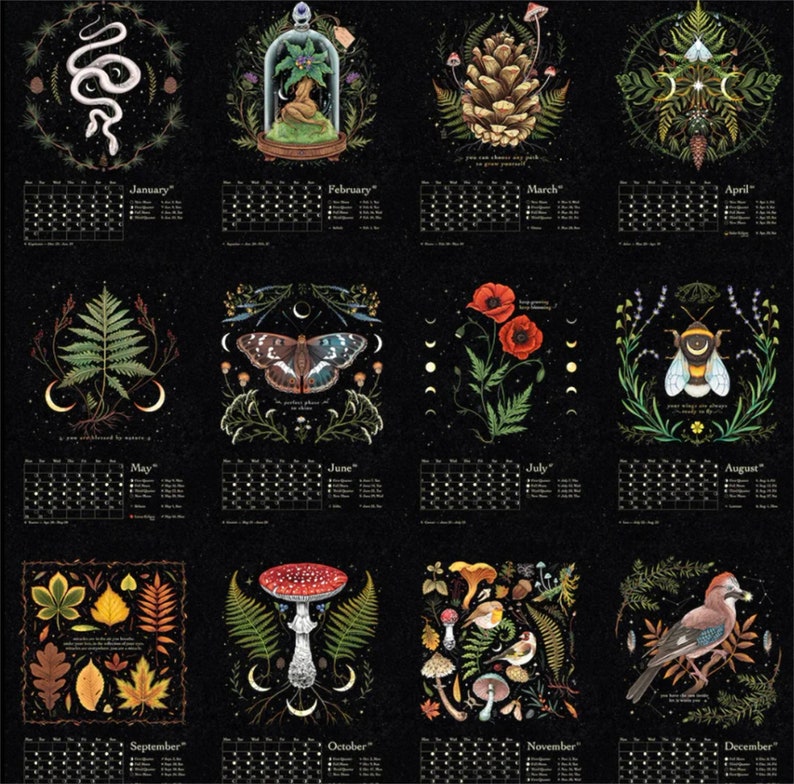 Dark Forest Lunar Calendar 2023 Wall Animal Calendars 12 Etsy