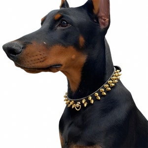 Replica Louis Vuitton Baxter Dog Collar PM M58072 in 2023  Fancy dog  collars, Gucci dog collar, Louis vuitton dog collar