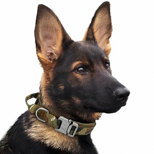 Grand collier tactique pour chien pour l'entraînement des chiens, collier  de chien en nylon réglable militaire, boucle métallique robuste avec  poignée de haute qualité