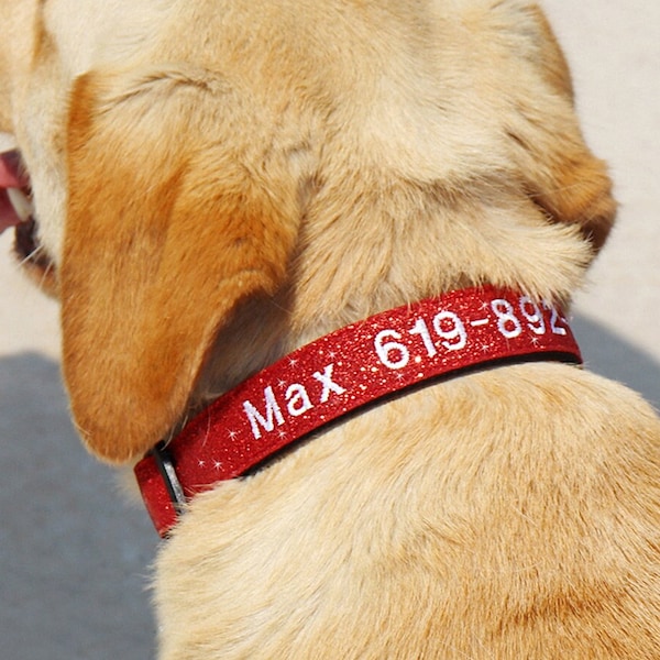 Embroidered Dog Collar With Name and Number Etsy