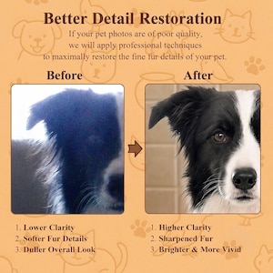 May include: A comparison graphic titled Better Detail Restoration showing a blurry black and white dog photo labeled Before and a sharpened, clear version labeled After. The text lists Lower Clarity, Softer Fur Details, and Duller Overall Look versus Higher Clarity, Sharpened Fur, and Brighter & More Vivid.