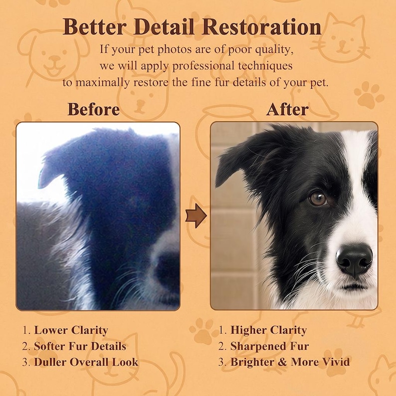 May include: A comparison graphic titled Better Detail Restoration showing a blurry black and white dog photo labeled Before and a sharpened, clear version labeled After. The text lists Lower Clarity, Softer Fur Details, and Duller Overall Look versus Higher Clarity, Sharpened Fur, and Brighter & More Vivid.