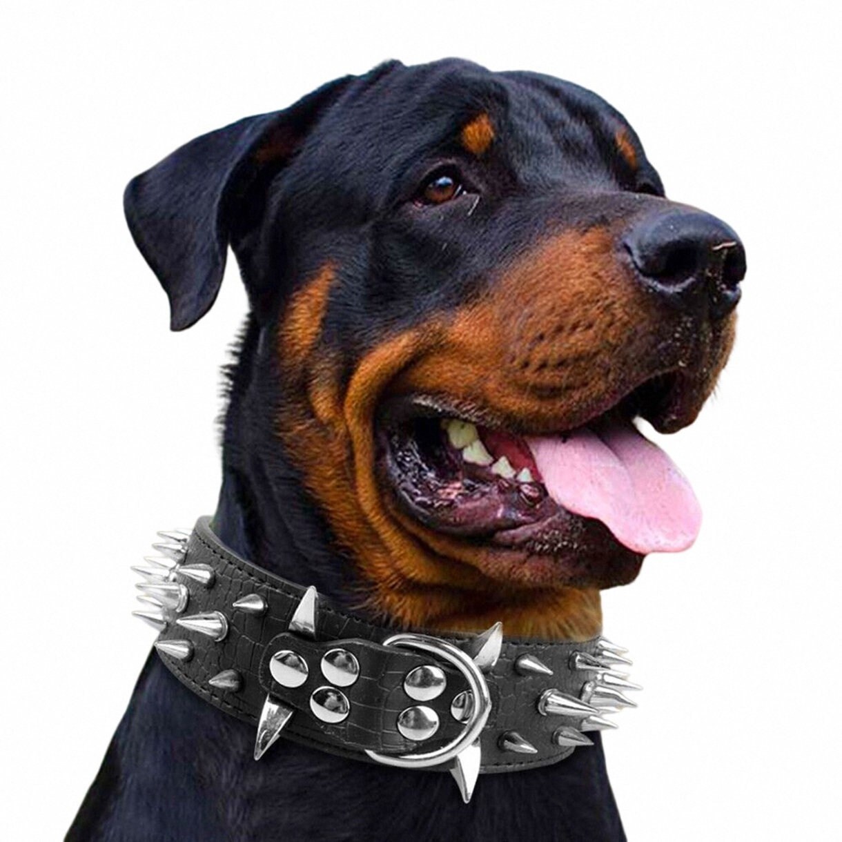 Dog collar Bokken's Chique