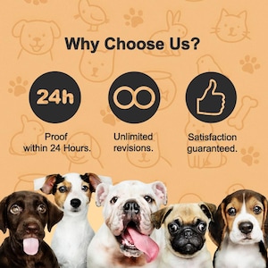 May include: A light orange graphic featuring the text Why Choose Us? above three black circular icons representing 24h proof, unlimited revisions, and satisfaction guaranteed. Below, five dog portraits include a brown, white, and black puppy.
