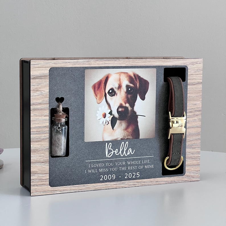 May include: A wooden box with a photo of a dog, a small glass vial, and a brown leather dog collar. The photo is of a brown and white dog with a daisy in its mouth. The text on the box reads "Bella I LOVED YOU YOUR WHOLE LIFE. I WILL MISS YOU THE REST OF MINE 2009 - 2025".