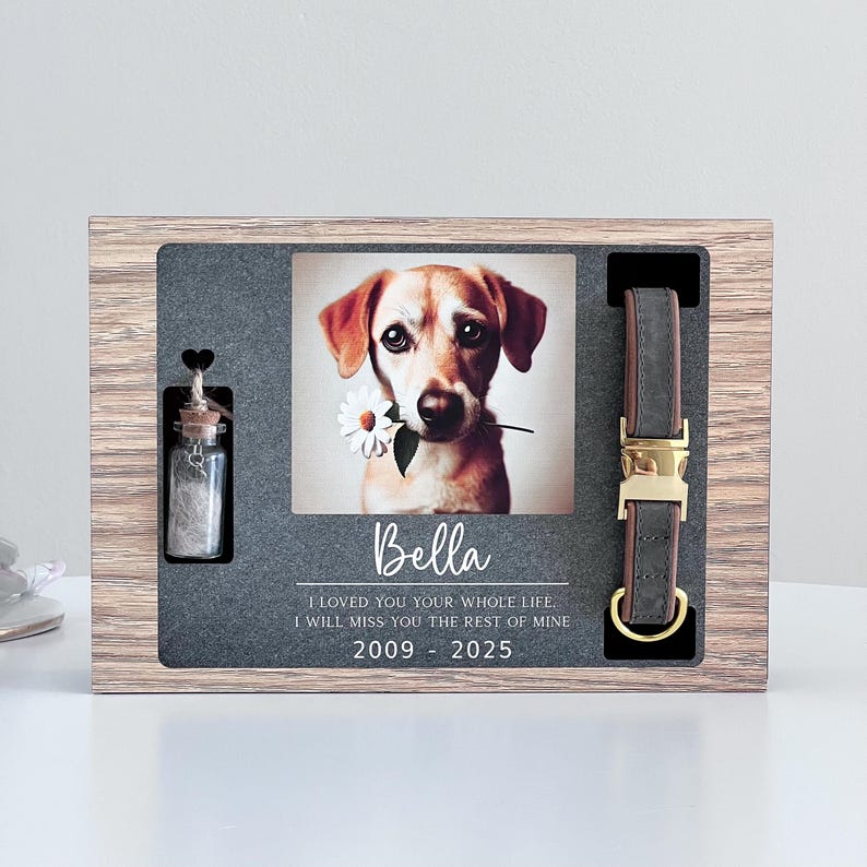 May include: A wooden memorial box with a photo of a dog, a small glass vial, and a brown leather dog collar. The photo shows a brown and white dog with a daisy in its mouth. The text on the box reads "Bella I LOVED YOU YOUR WHOLE LIFE. I WILL MISS YOU THE REST OF MINE 2009 - 2025".