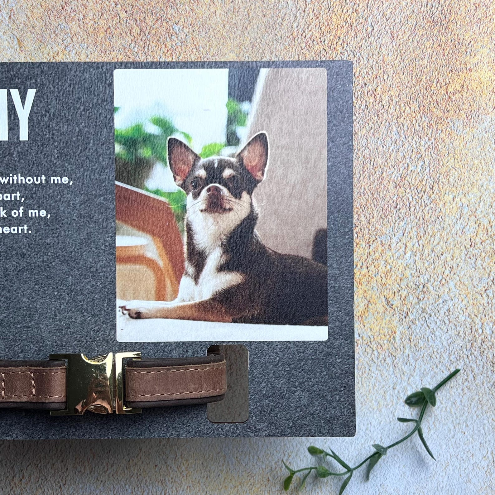 Colar Frame Memorial Pet Collar Frame, Pets Photo Print, Loss of Dog, Cat Loss Gift ...