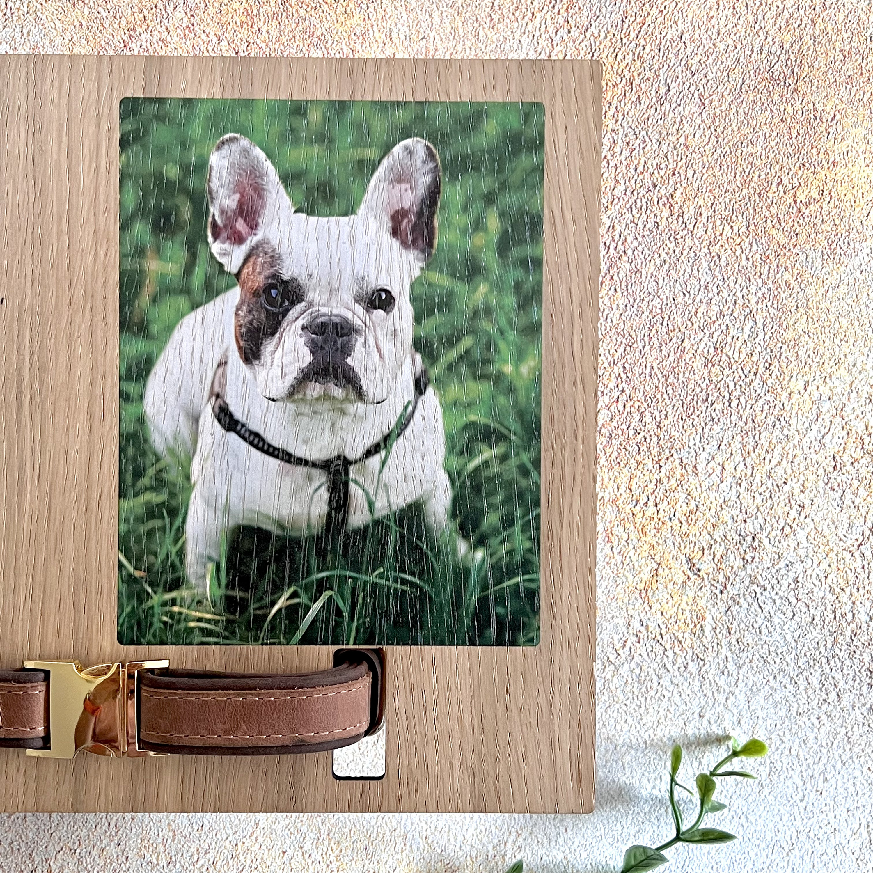 FINGERINSPIRE Cornice commemorativa per animali domestici, 23 x 23 cm, con stampa della zampa sul nostro cuore per sempre, con clip per foto e supporto per collare, in legno, regalo commemorativo per