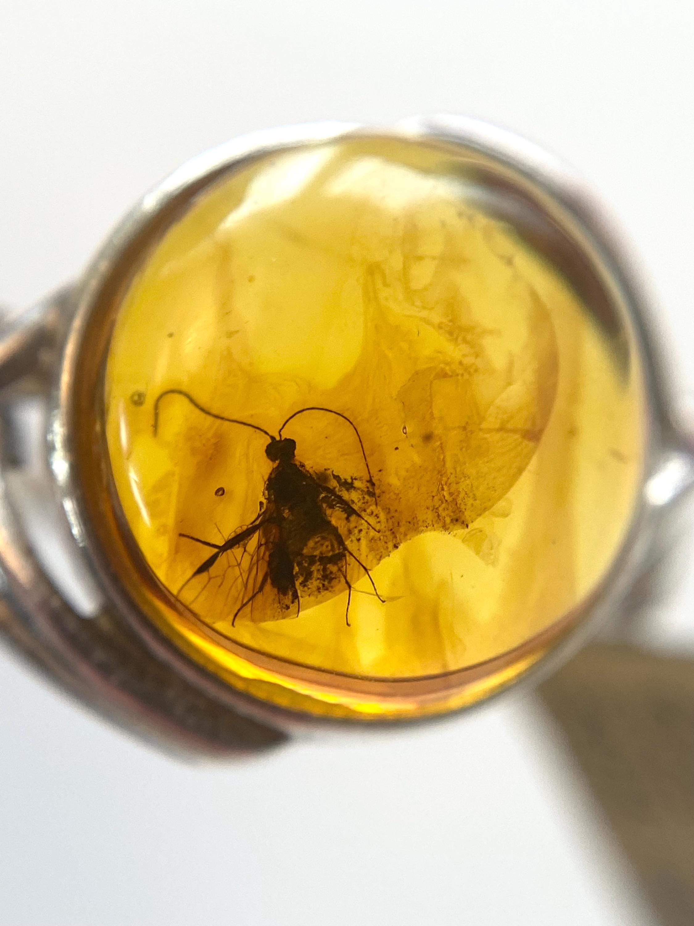Fossil Amber Ring Men