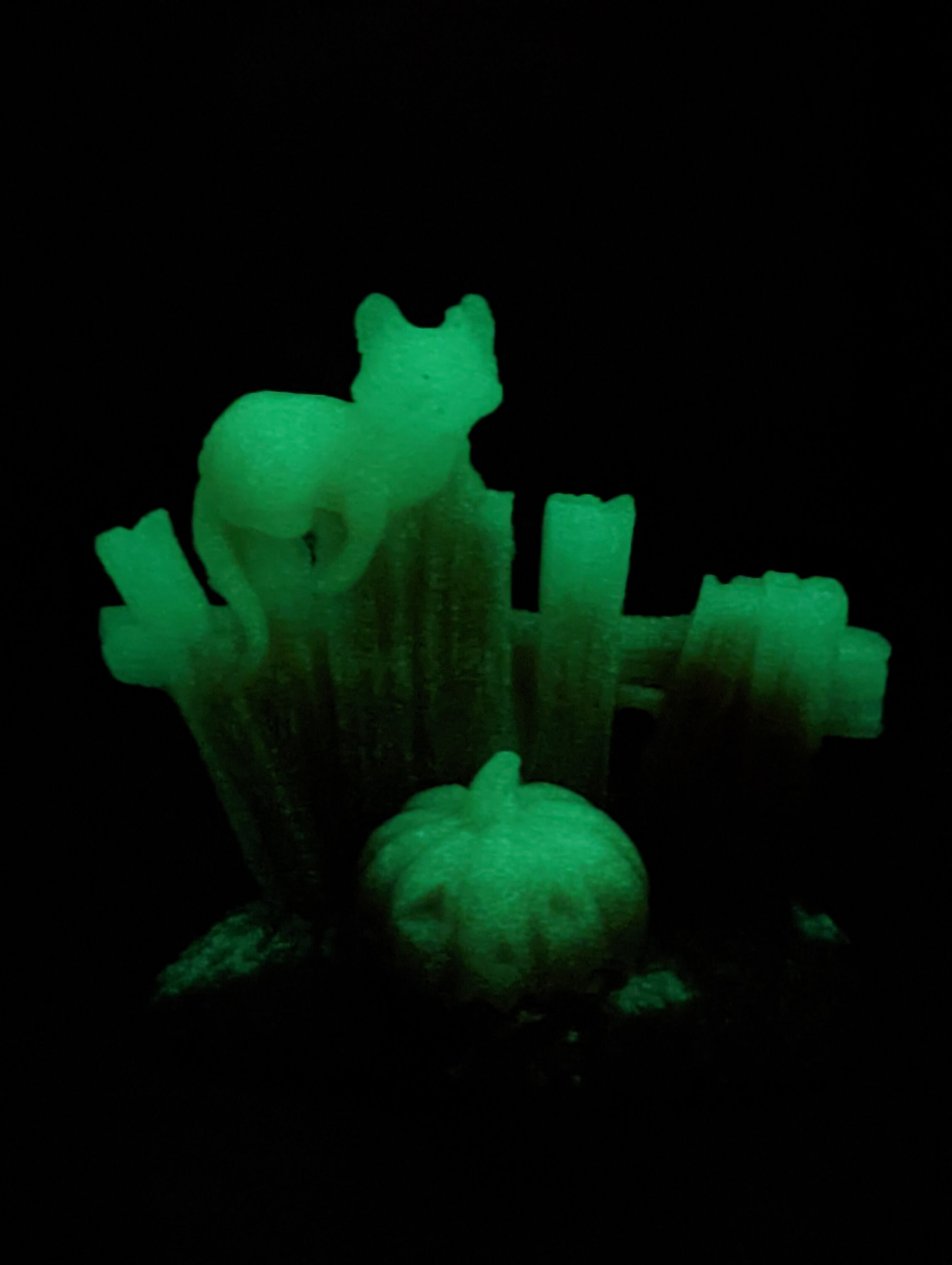 Glow in the Dark Cat on Fence, Jackolantern, Samhain, Halloween