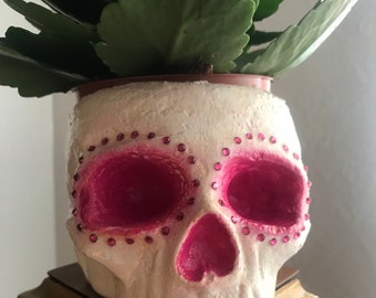 Sugar Skull Plant Pot - Skull Flower Pot - Skull Planter