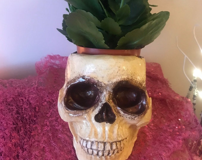 Skull Plant Pot