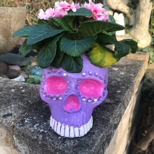 Sugar Skull Plant Pot/ Day of the Dead inspired