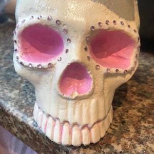 Sugar Skull Plant Pot