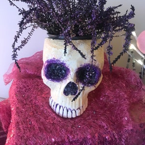 Amethyst Skull Planter