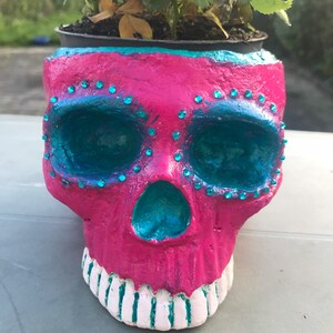 Day of the Dead/ Sugar Skull Pot