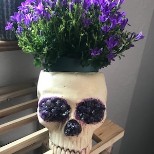 Amethyst Skull Plant Pot / Amethyst Skull Flower Pot