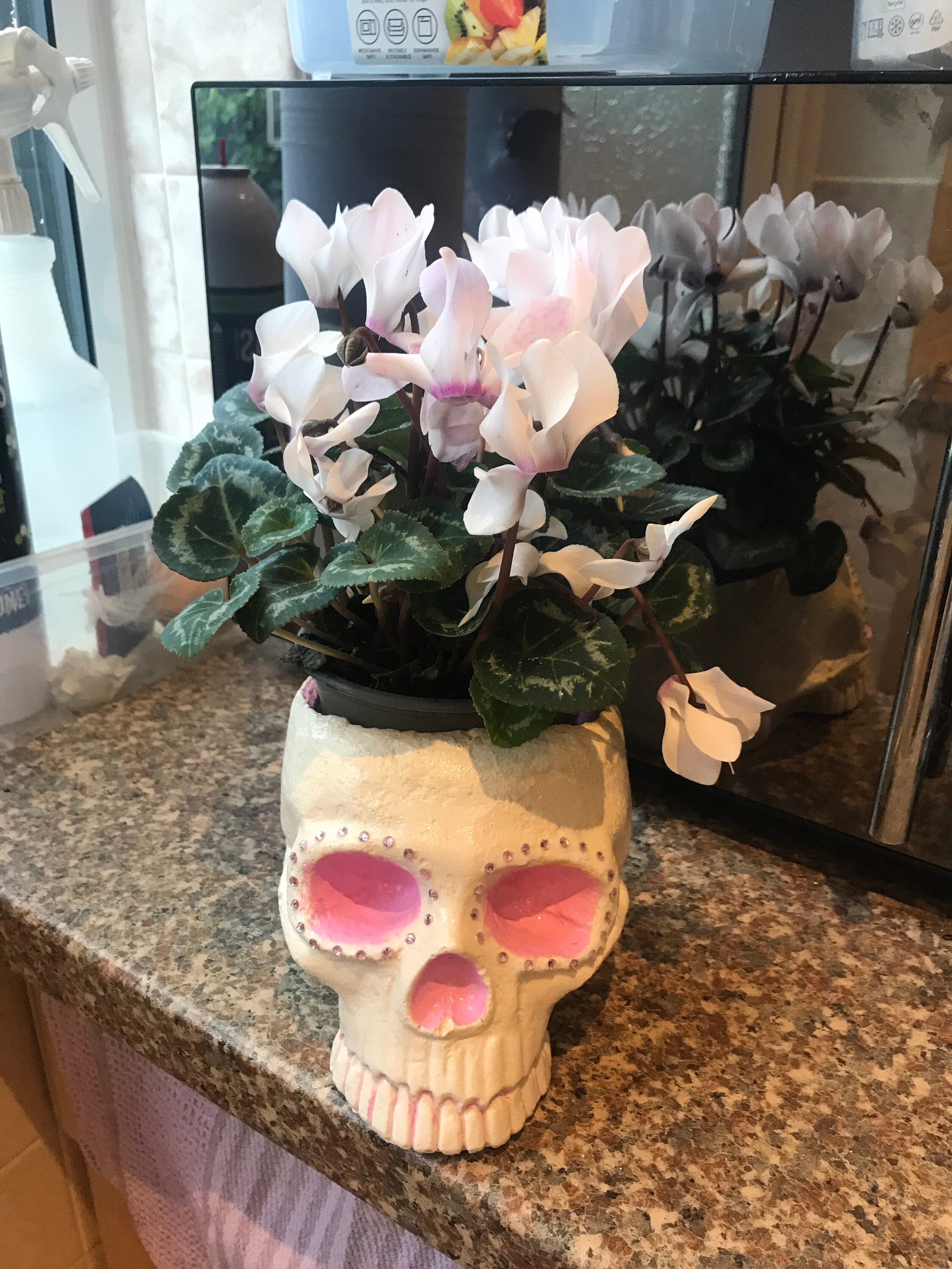 Sugar Skull Plant Pot Etsy