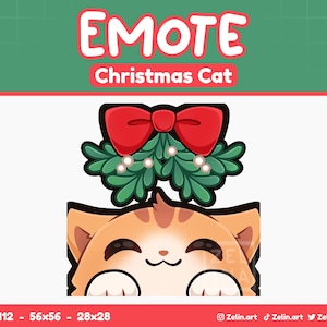 Orange Christmas Mistletoe | Emote for Twitch, Discord and YouTube | Stream Assets, Cute, Orange