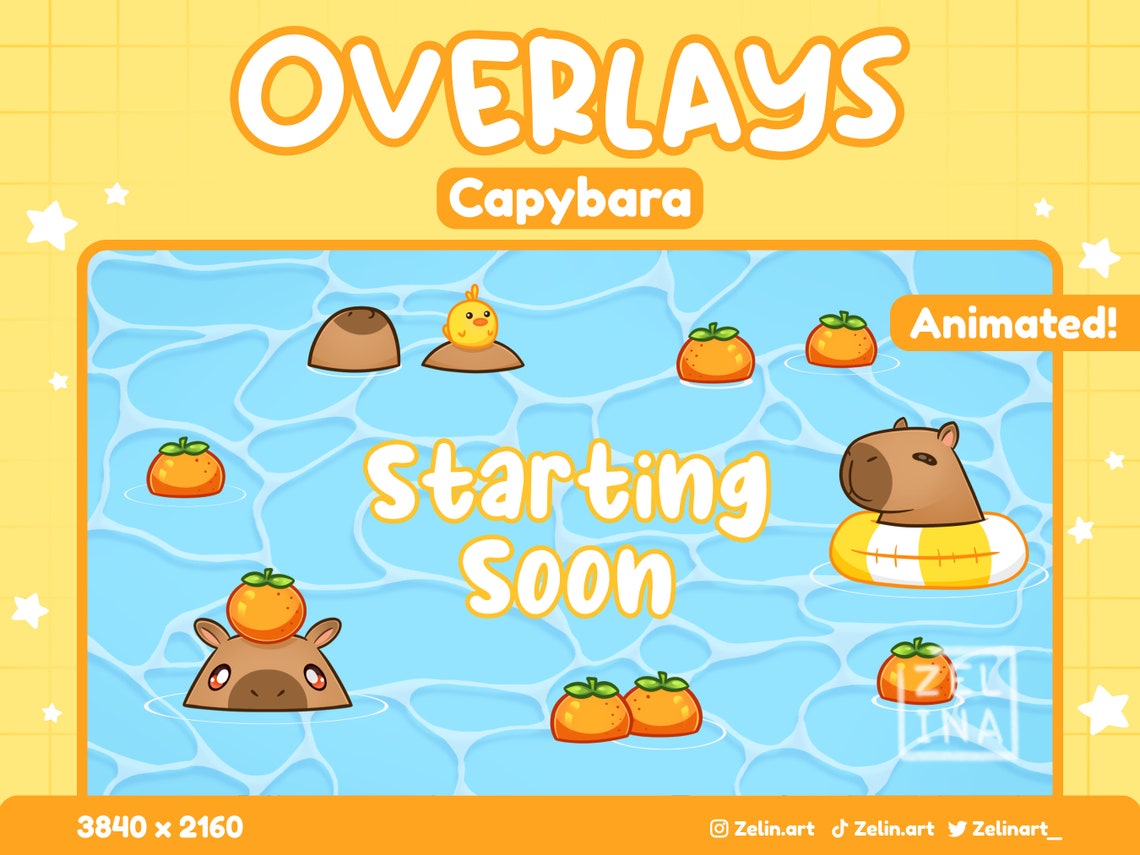 ANIMATED Capybara | Overlays and Scenes for Twitch | Starting, BRB ...