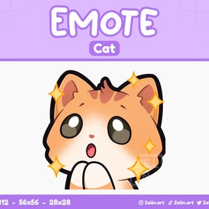 Orange Katze funkeln Woah | Emote für Twitch, Discord und YouTube | Gießen, niedlich, Orange