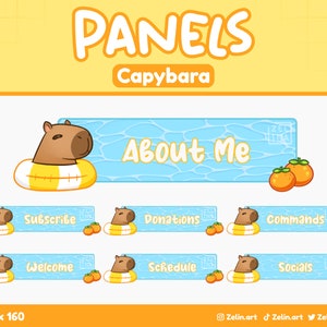 30 Capybara Info Panels for Twitch | Stream Assets, Cute, Blue
