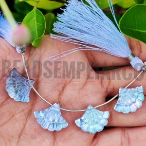Carved Mother of Pearl Fan Beads: Crystal Gemstone Jewelry Making (6 Pieces)