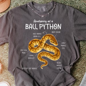 May include: Dark grey t-shirt with a detailed illustration of a ball python and its anatomy. The text reads "Anatomy of a Ball Python" with labels such as "Self-Hug Mode" and "Mystery Exit Noodle".