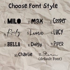 Moletom personalizado com Boston Terrier, Suéter com Boston Terrier, Presente para amante de Boston Terrier, Camisetas personalizadas para cães, Presente para mãe de Boston Terrier, C211 imagem 10