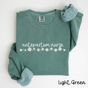 Pode incluir: Camisola verde claro com o texto "antepartum nurse" em branco e uma fila de margaridas brancas abaixo.