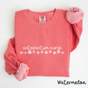 Pode incluir: Uma camisola cor de melancia com o texto "antepartum nurse" em letras brancas com uma fila de margaridas brancas abaixo.