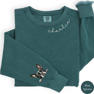Pode incluir: Uma camisa de moletom azul turquesa com o nome "charlie" bordado na frente. A cabe&ccedil;a de um Boston Terrier est&aacute; espiando da manga.