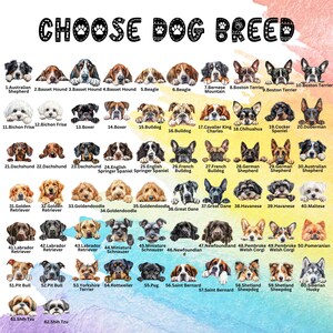 Pode incluir: Um gr&aacute;fico colorido com ilustra&ccedil;&otilde;es de diferentes ra&ccedil;as de c&atilde;es. Cada ra&ccedil;a &eacute; numerada e etiquetada com o seu nome. O gr&aacute;fico est&aacute; sobre um fundo azul claro com uma borda branca.